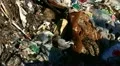 Illegal dump HD Footage