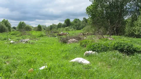 Illegal dump 스톡 동영상 24129891