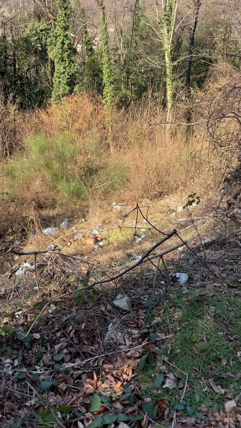 Illegal dump site on the roadside outside the city, environmental pollution. Stock Footage 304233712