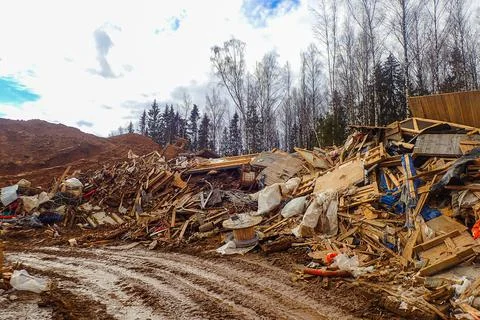 Illegal dumping of garbage in the forest. Landfill in nature. Environmental Stock Photos
