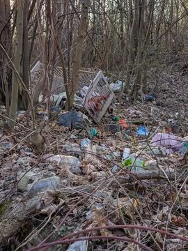 Illegal Forest Dump: Plastic Pollution Crisis Stock Photos