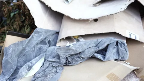 Illegal garbage dump in the forest, environmental pollution Stock Footage 245808528