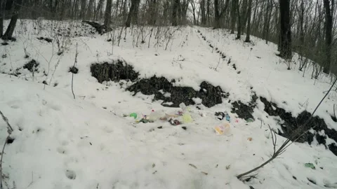 Illegal garbage dump in the forest. Pollution of nature and environment Stock Footage 260473991
