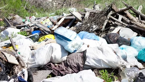 Illegal garbage dump in nature on the background of the forest, slow motion 4k Stock Footage 157880877