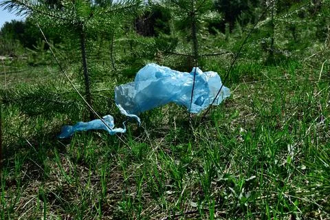 Illegal garbage dump in nature. Dirty garbage polluting the environment near  Stock Photos