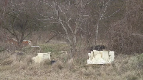 Illegal Garbage dump in the nature. Video stock 147942833