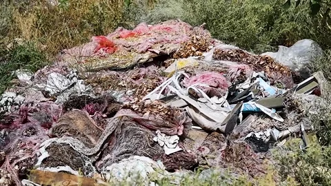 Illegal garbage dump near the forest Stock Footage 220032380