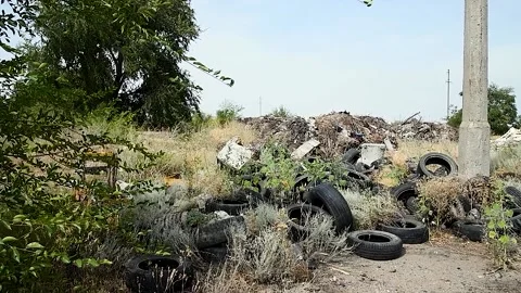 Illegal garbage dump near the forest Vídeo Stock 221350326