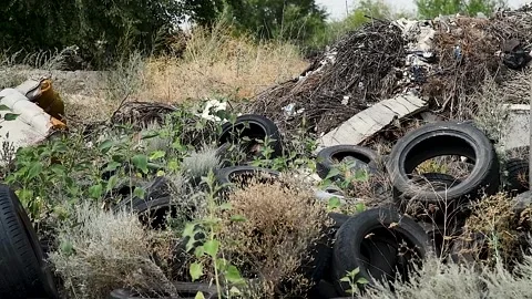 Illegal garbage dump near the forest Stock Footage 310052851