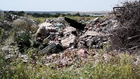 Illegal garbage dump near the forest Stock Footage 310052901
