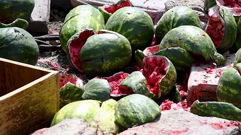 Illegal garbage dump near the forest Stock Footage 310052949