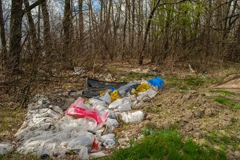 Illegal garbage dump near the forest. Stock Photos
