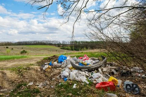 Illegal garbage dump near the forest. Stock Photos