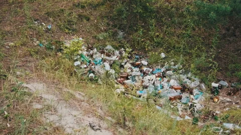 Illegal Garbage Dump of Plastic and Bottles in the Forest Pit, Pollution Stock Footage 252016477