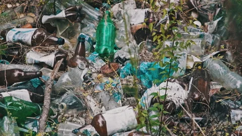 Illegal Garbage Dump of Plastic and Bottles in the Forest Pit, Pollution Stock Footage 252016587