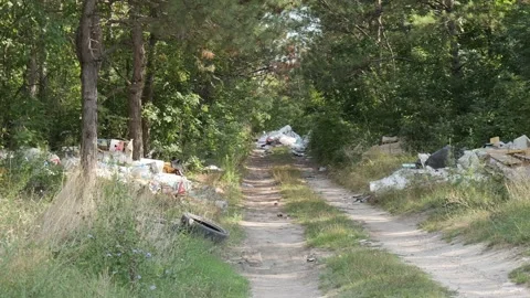 Illegal garbage dump polluting forest road Vídeo Stock 345928434