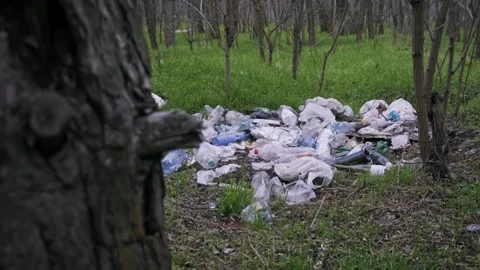 Illegal Garbage Dump Revealed Behind Tree Trunk in Green Forest 스톡 동영상 323257988