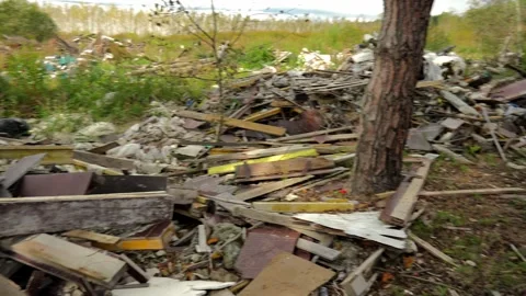 Illegal garbage dump with wooden waste and trash in a forest clearing Vídeo Stock 346639739