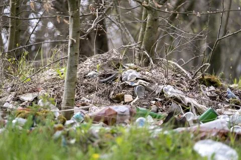 Illegal garbage dumping in forest. Waste materials and litter left behind Stock Photos