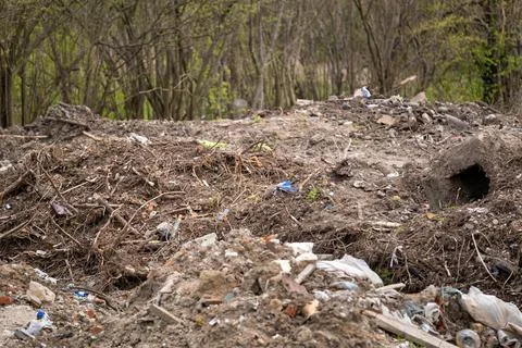 Illegal garbage dumping in forest. Waste materials and litter left behind dam Stock Photos