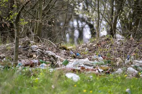Illegal garbage dumping in forest. Waste materials and litter left behind dam Stock Photos