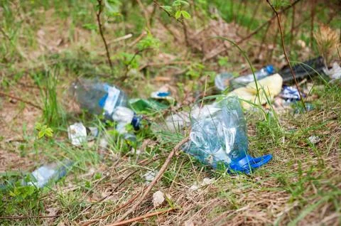 Illegal garbage scattered dump in woods Foto stock