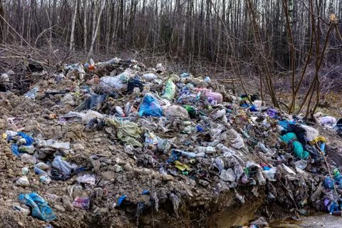 Illegal garbage in spring forest, ecological catastrophe on a large scale in  Stock Photos