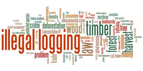 Illegal logging environmental issues and concepts word cloud illustration. Wo Stock Illustration