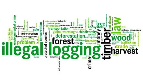 Illegal logging environmental issues and concepts word cloud illustration. Wo Stock Illustration