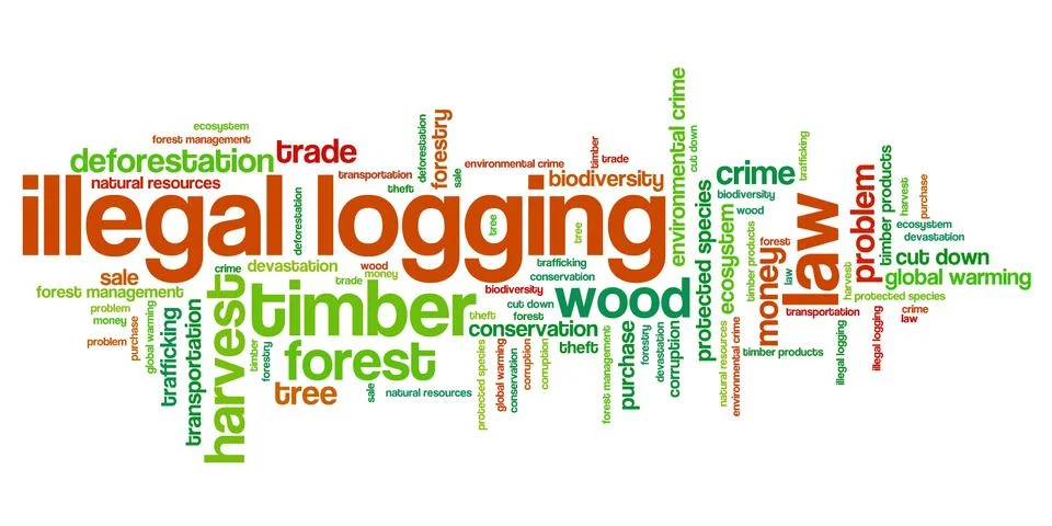 Illegal logging environmental issues and concepts word cloud illustration. Wo Stock Illustration