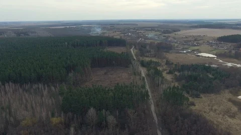 Illegal logging of forest. Destruction of trees. Environmental degradation Stock Footage 107807377