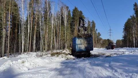 Illegal logging in the winter forest. Stock Footage 304979351