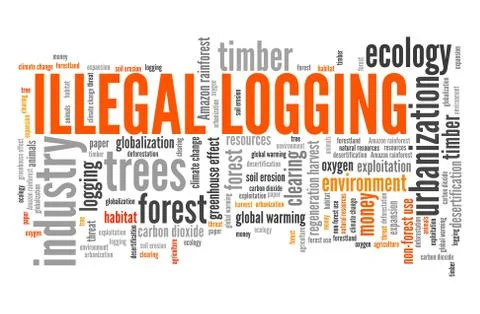 Illegal logging word cloud. Environmental crime concept. Stock Illustration