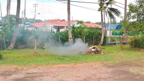 Illegal Open Burning Stock Footage 106609716