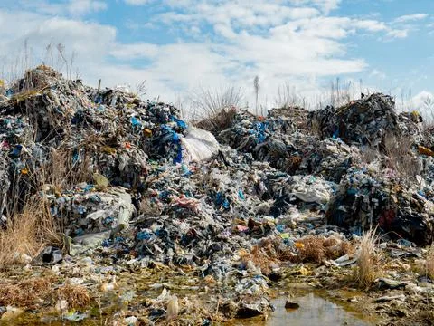Illegal plastic dump. The toxic plastic exported from Germany is collected in Stock Photos