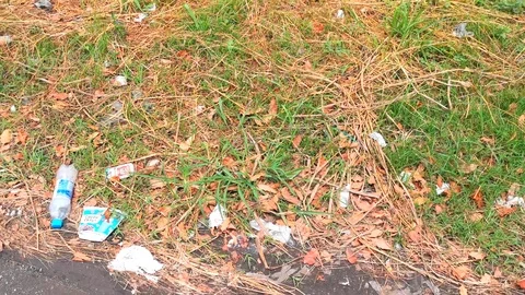 Illegal Public Garbage Littering By No Litter Signboard Stock Footage 106346469
