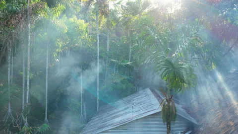 Illegal slash and burn deforestation in Amazon rainforest. Fires are burning Stock Footage 324166431