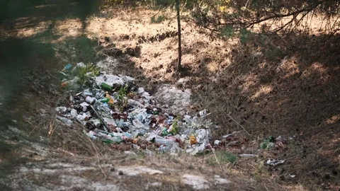 Illegal Trash Dump in Forest Stock Footage 303756677