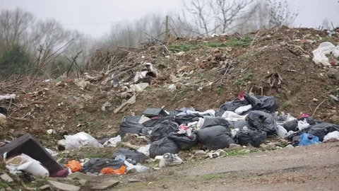 Illegal Waste Dump Stock Footage 73358873
