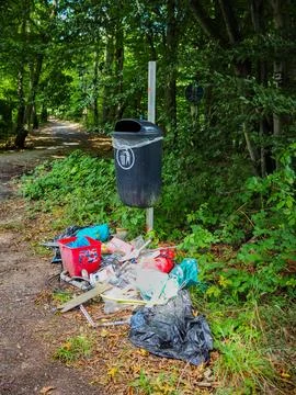 Illegal Waste Dumping in a German Forest Stock Photos