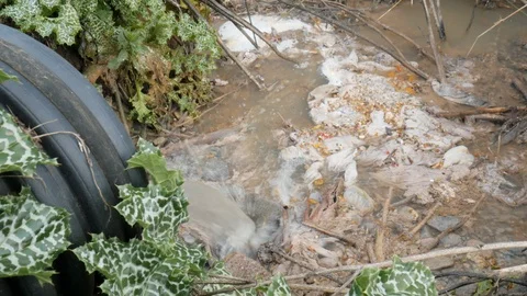 Illegal waste water pipe rejecting and pollution in nature Stock Footage 121456025
