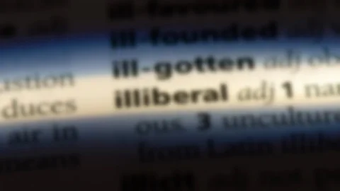 Illiberal word in a dictionary. Stock Footage 99560735