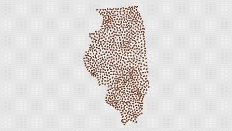 Illinois Coffee Beans Stock Footage 147517366