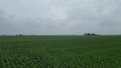 Illinois Corn Field Flyover Cloudy Stock Footage 247285793