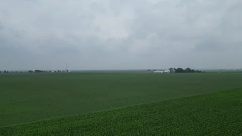Illinois Corn Field Rising Cloudy Stock Footage 247285777