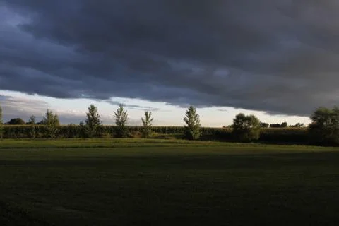Illinois corn fields Stock Photos