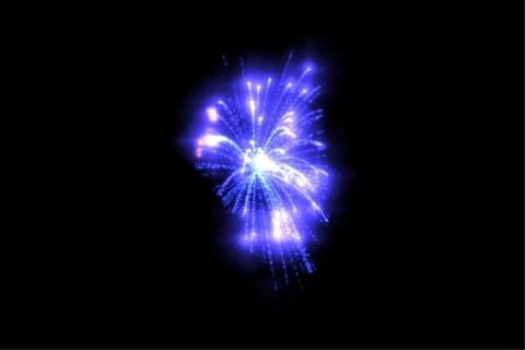 Illinois Fireworks Stock Footage 719343
