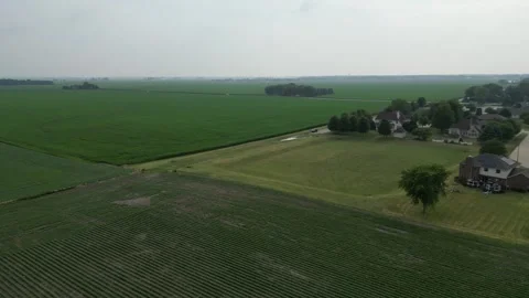Illinois Soy 2 Corn Flyover Cloudy Stock Footage 247339987