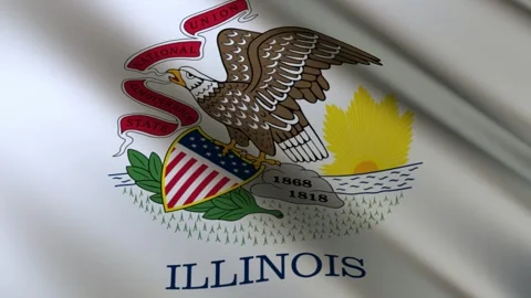 Illinois State Flag Stock Footage 276104991