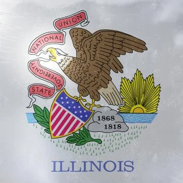 Illinois State flag icon Stock Illustration